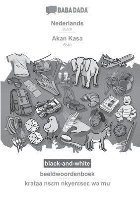 bokomslag Nederlands - Akan Kasa, beeldwoordenboek, BW
