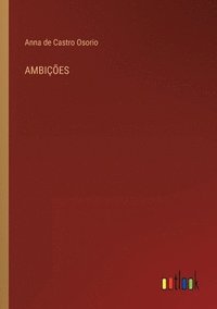 bokomslag Ambições