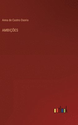 bokomslag Ambições