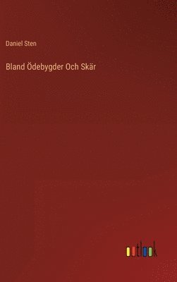 bokomslag Bland debygder Och Skr