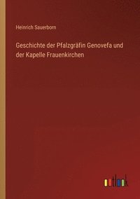 bokomslag Geschichte der Pfalzgrafin Genovefa und der Kapelle Frauenkirchen