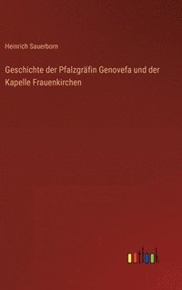 bokomslag Geschichte der Pfalzgrfin Genovefa und der Kapelle Frauenkirchen