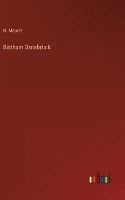 bokomslag Bisthum Osnabrück