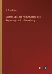 bokomslag Skizzen uber den Kulturzustand des Regierungsbezirks Merseburg