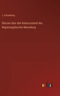 bokomslag Skizzen ber den Kulturzustand des Regierungsbezirks Merseburg