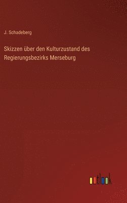 bokomslag Skizzen ber den Kulturzustand des Regierungsbezirks Merseburg