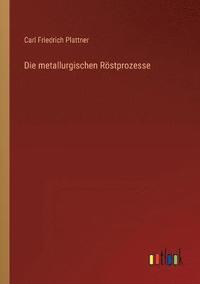 bokomslag Die metallurgischen Roestprozesse