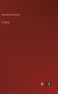 bokomslag Ferro