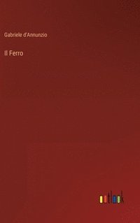 bokomslag Il Ferro