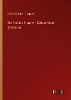 bokomslag Tertiäre Flora von Schossnitz in Schlesien