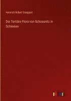 bokomslag Tertiäre Flora von Schossnitz in Schlesien
