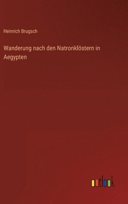 Wanderung nach den Natronklstern in Aegypten 1