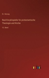 bokomslag Real-Encyklopdie fr protestantische Theologie und Kirche