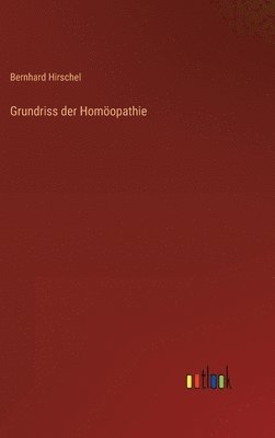 bokomslag Grundriss der Homopathie