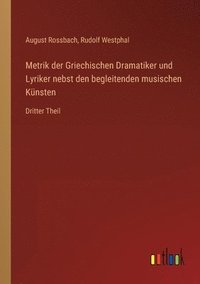 bokomslag Metrik der Griechischen Dramatiker und Lyriker nebst den begleitenden musischen Knsten