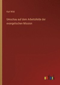 bokomslag Umschau auf dem Arbeitsfelde der evangelischen Mission