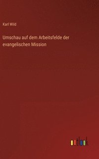 bokomslag Umschau auf dem Arbeitsfelde der evangelischen Mission