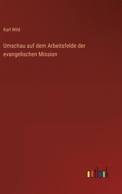 bokomslag Umschau auf dem Arbeitsfelde der evangelischen Mission