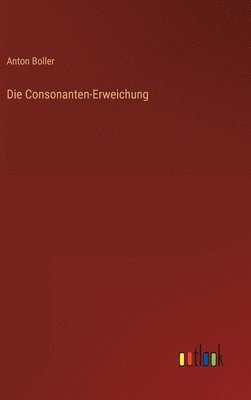 bokomslag Consonanten-Erweichung