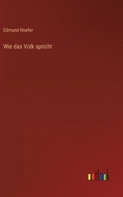 bokomslag Wie das Volk spricht