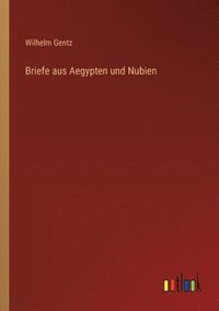 bokomslag Briefe aus Aegypten und Nubien