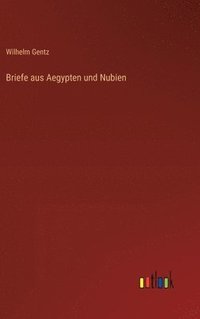 bokomslag Briefe aus Aegypten und Nubien