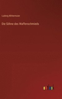 bokomslag Die Shne des Waffenschmieds