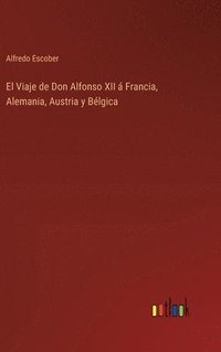 bokomslag El Viaje de Don Alfonso XII  Francia, Alemania, Austria y Blgica
