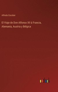 bokomslag Viaje de Don Alfonso XII á Francia, Alemania, Austria y Bélgica