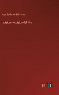 bokomslag Incision y excision del riñon