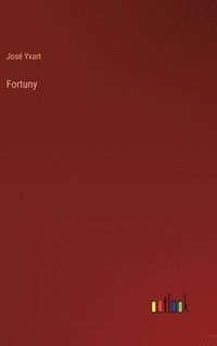bokomslag Fortuny