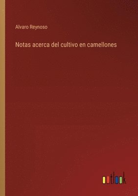 Notas acerca del cultivo en camellones 1