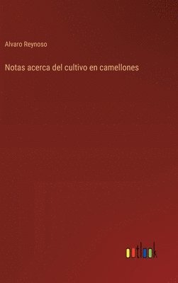 Notas acerca del cultivo en camellones 1