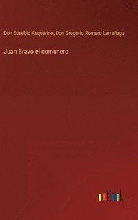 bokomslag Juan Bravo el comunero