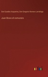 bokomslag Juan Bravo el comunero