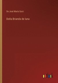 bokomslag Doa Brianda de luna