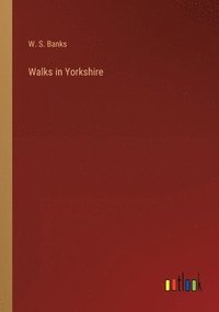 bokomslag Walks in Yorkshire