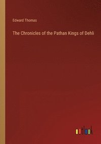 bokomslag The Chronicles of the Pathan Kings of Dehli