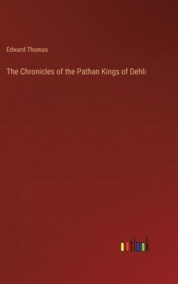 bokomslag The Chronicles of the Pathan Kings of Dehli