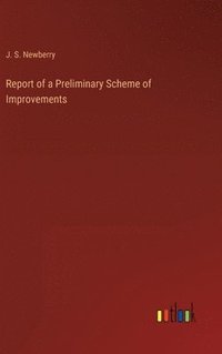 bokomslag Report of a Preliminary Scheme of Improvements