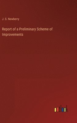 bokomslag Report of a Preliminary Scheme of Improvements