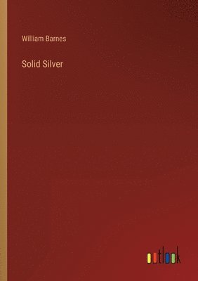 bokomslag Solid Silver