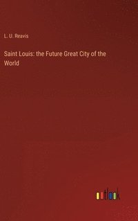 bokomslag Saint Louis
