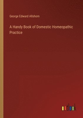 bokomslag A Handy Book of Domestic Homeopathic Practice