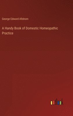 bokomslag A Handy Book of Domestic Homeopathic Practice