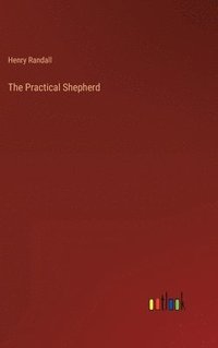 bokomslag The Practical Shepherd