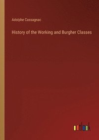 bokomslag History of the Working and Burgher Classes