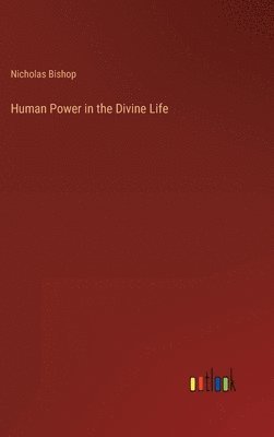 bokomslag Human Power in the Divine Life