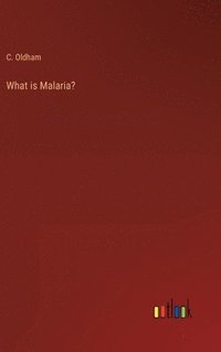 bokomslag What is Malaria?