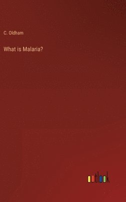 bokomslag What is Malaria?